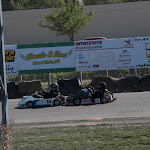 DSC_8121.jpg