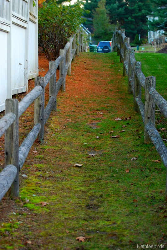 [16.%2520path%2520up-kab%255B5%255D.jpg]