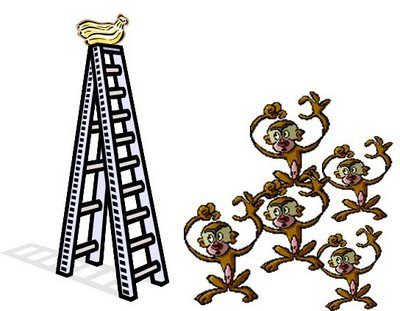 Historia dos macacos.jpg