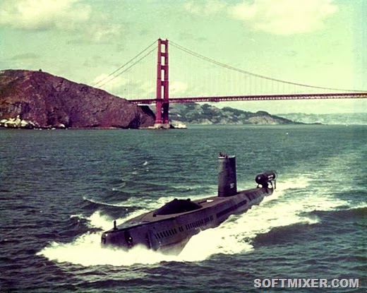 [1381361893_halibut[20].jpg]