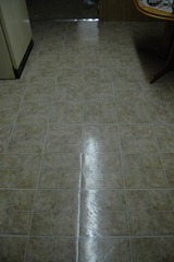 the floor 008 the floor 008