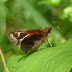 P1120515
