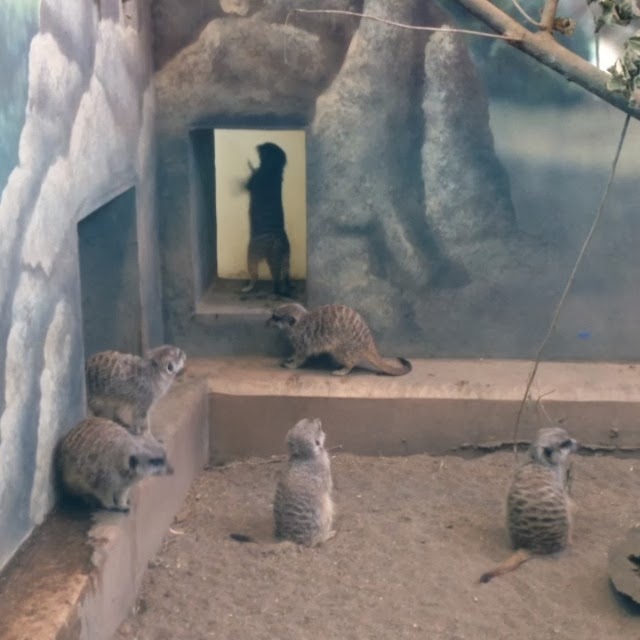 [2013-10-27_1382906857%255B3%255D.jpg]