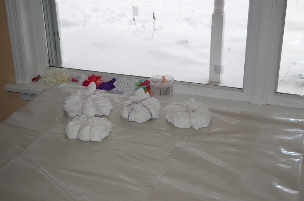 [DSC_6017%255B3%255D.jpg]