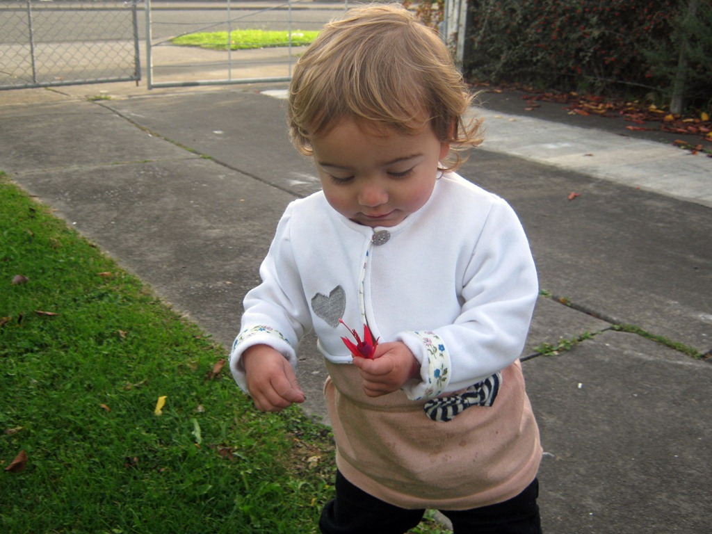 [IMG_4008%255B6%255D.jpg]