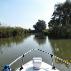 IMG_8013.JPG