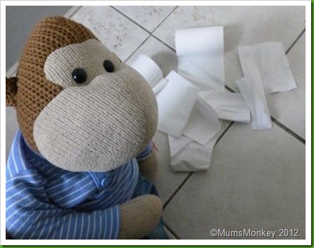 discarded toilet paper discarded toilet paper