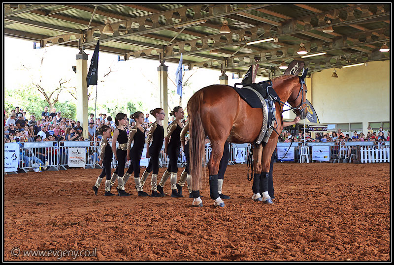 il/Фото: Stallion Show 2011 (20110416 stllion show 019 2043)