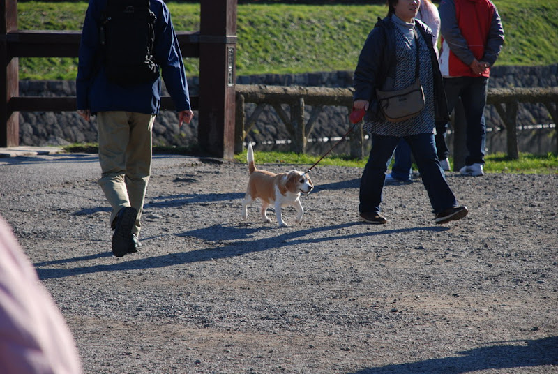 hokkaido_113.jpg