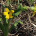 20110323_5