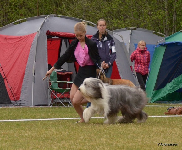 DSC_0819 DSC_0819