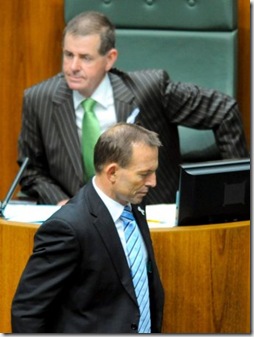 Slipper, Abbott