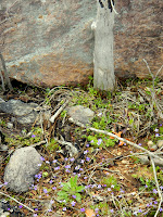 DSCN1921.JPG