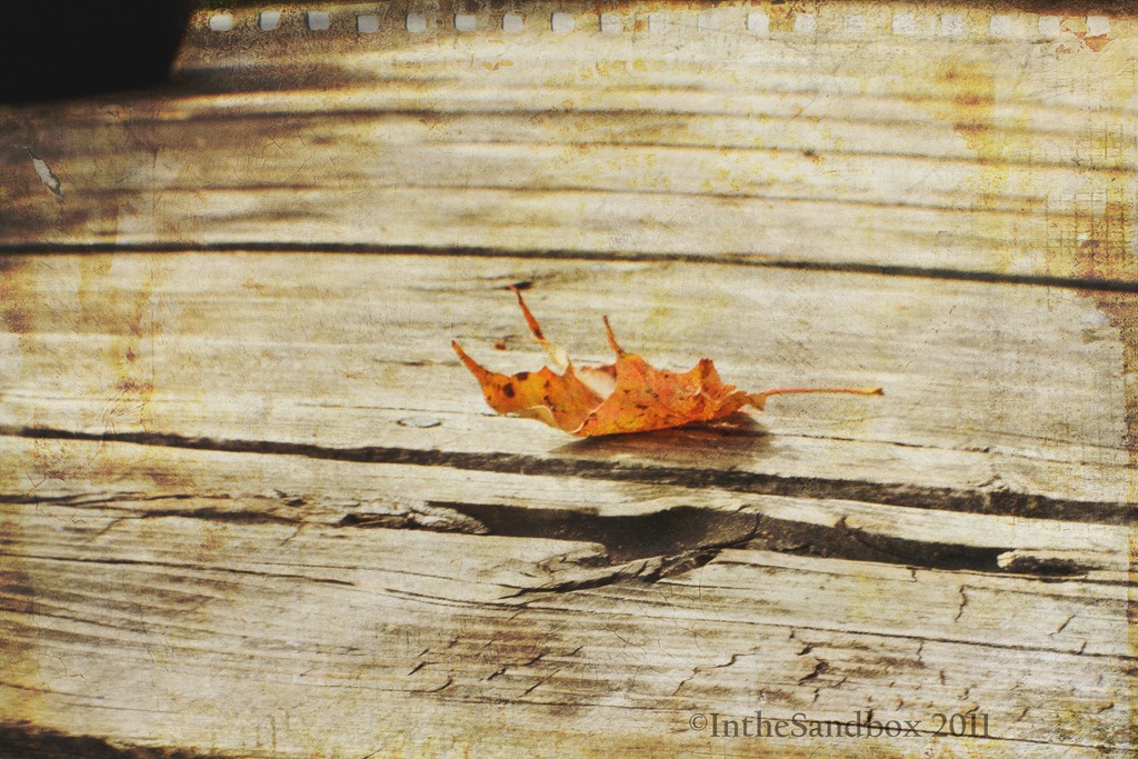 [leaf-with-KK-autumn-burst-and-script.jpg]