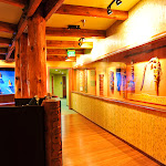low res-9369.jpg