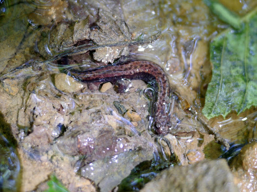 P1110923