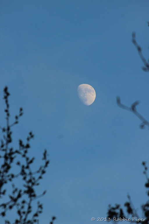 [IMG_4165%255B18%255D.jpg]