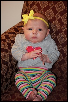 IMG_5910 IMG_5910