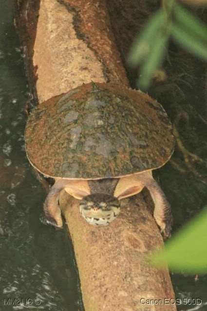 [IMG_9026%255B4%255D.jpg]