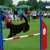 IMGP6940.JPG
