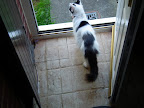 DSCF9059.JPG