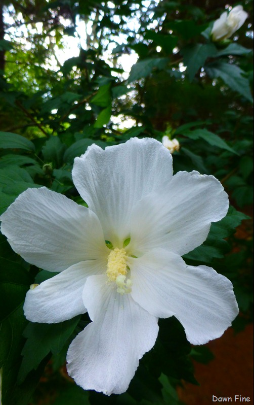 [Lexington%2520walk_058%255B8%255D.jpg]