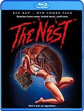 nest nest