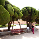 P6114100.JPG