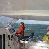 WildRide WildRide