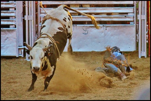 PBR 142