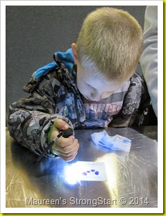 IMG_2309 IMG_2309