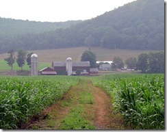 Dan's Family Farm from the Susquehanna Treeline