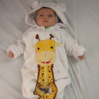 VLAD - Micu Mihaela