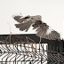 20121226-dsc_0699