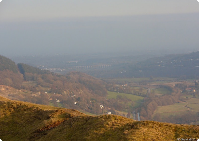 SAM_0038 Dinas Bran SAM_0038 Dinas Bran