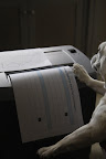 Franny, it says that this is the ballot box - I'll just slip mine in.
