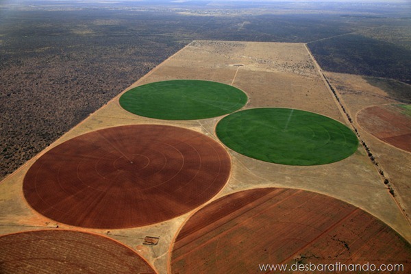 Moderne Landwirtschaft in Südafrika