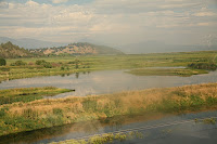 IMG_4495.JPG