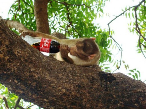 It Happens only in India - Funny Pictures