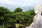 Vista Panoramica su Giardino