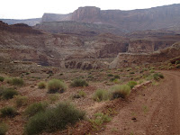 IMG_0334.JPG