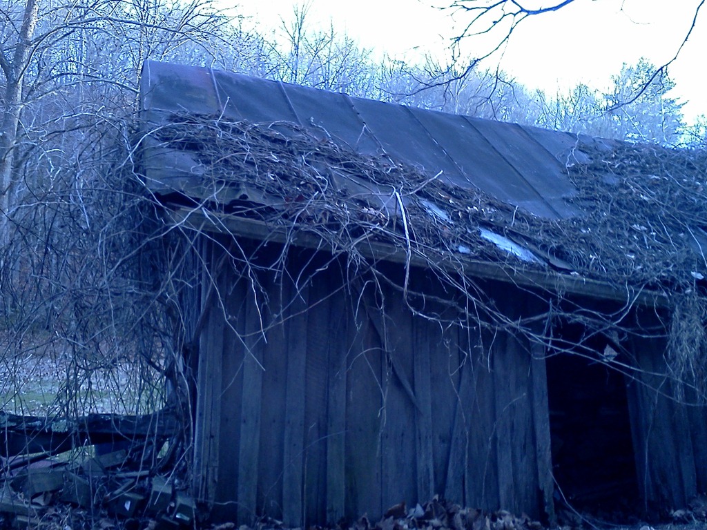 [IMG_20120104_164333%255B5%255D.jpg]