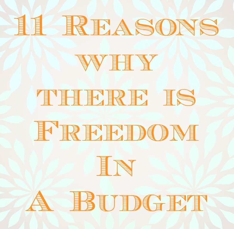 [Freedom-Budget11.jpg]