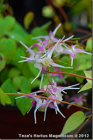 DSC_0045