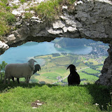Photo -24 von 63
