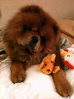 My dear father, Maddox, gave me his favorite toy, Mr. Bubbles, to keep me company, as well.