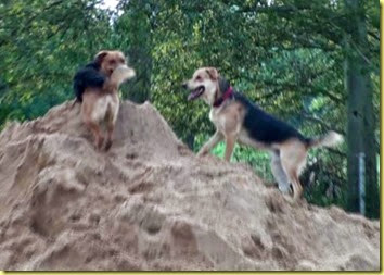 Sand-Apollo-Zeus Sand-Apollo-Zeus