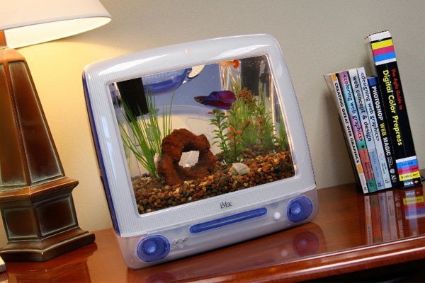 Macquarium-Apple-G3-Azul-Computador-Aquário-Frente Macquarium-Apple-G3-Azul-Computador-Aquário-Frente