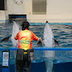 hokkaido_445.jpg