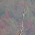 P1120733